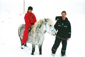 icelandichorse.jpg